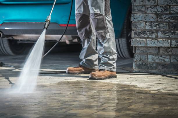 Best Paint Preparation  in Windom, MN