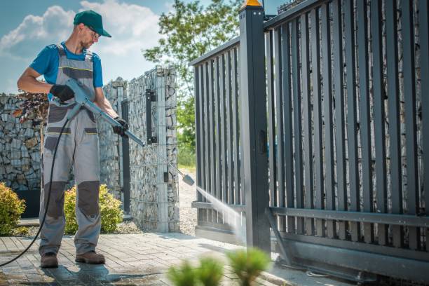 Best Gutter Cleaning  in Windom, MN